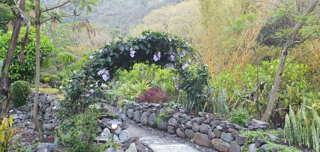Image gallery image