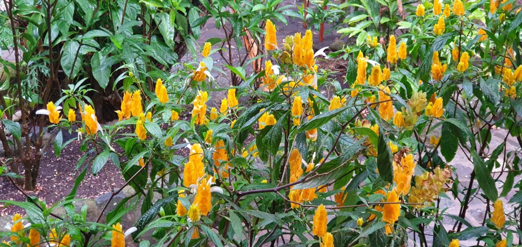 Image gallery image