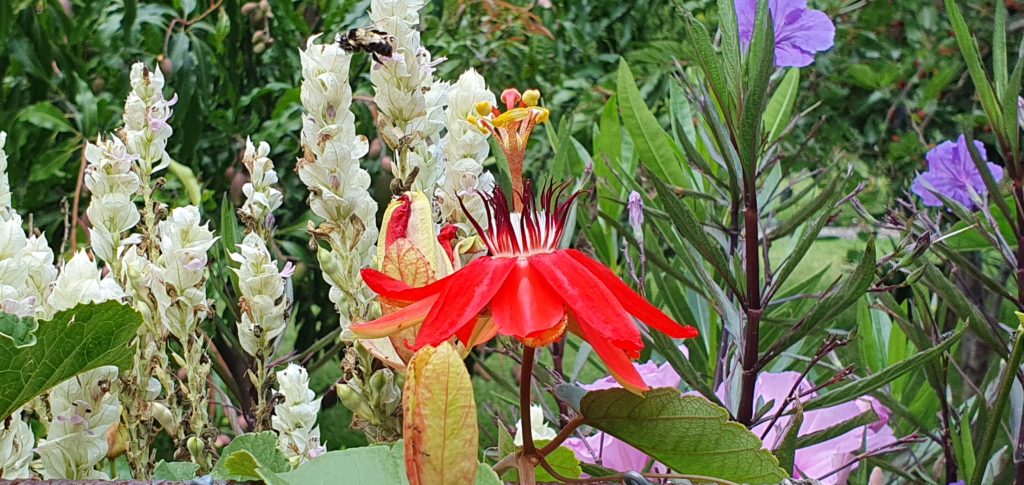 Image gallery image