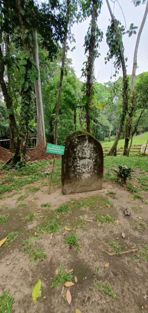 Image gallery image