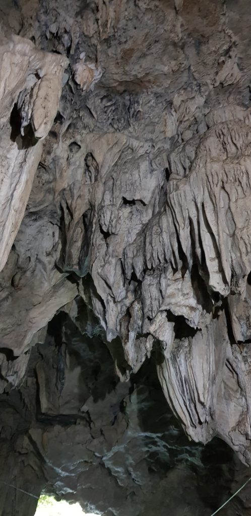 Image gallery image