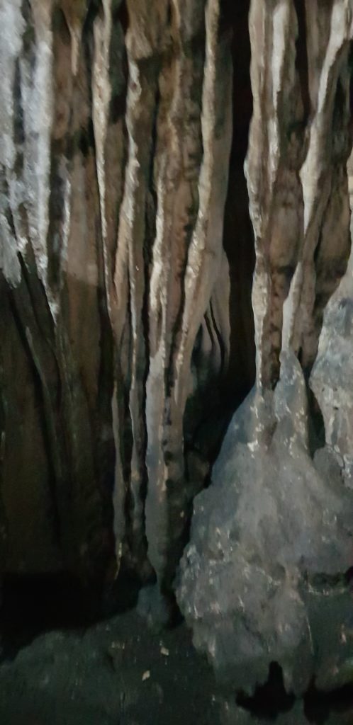 Image gallery image