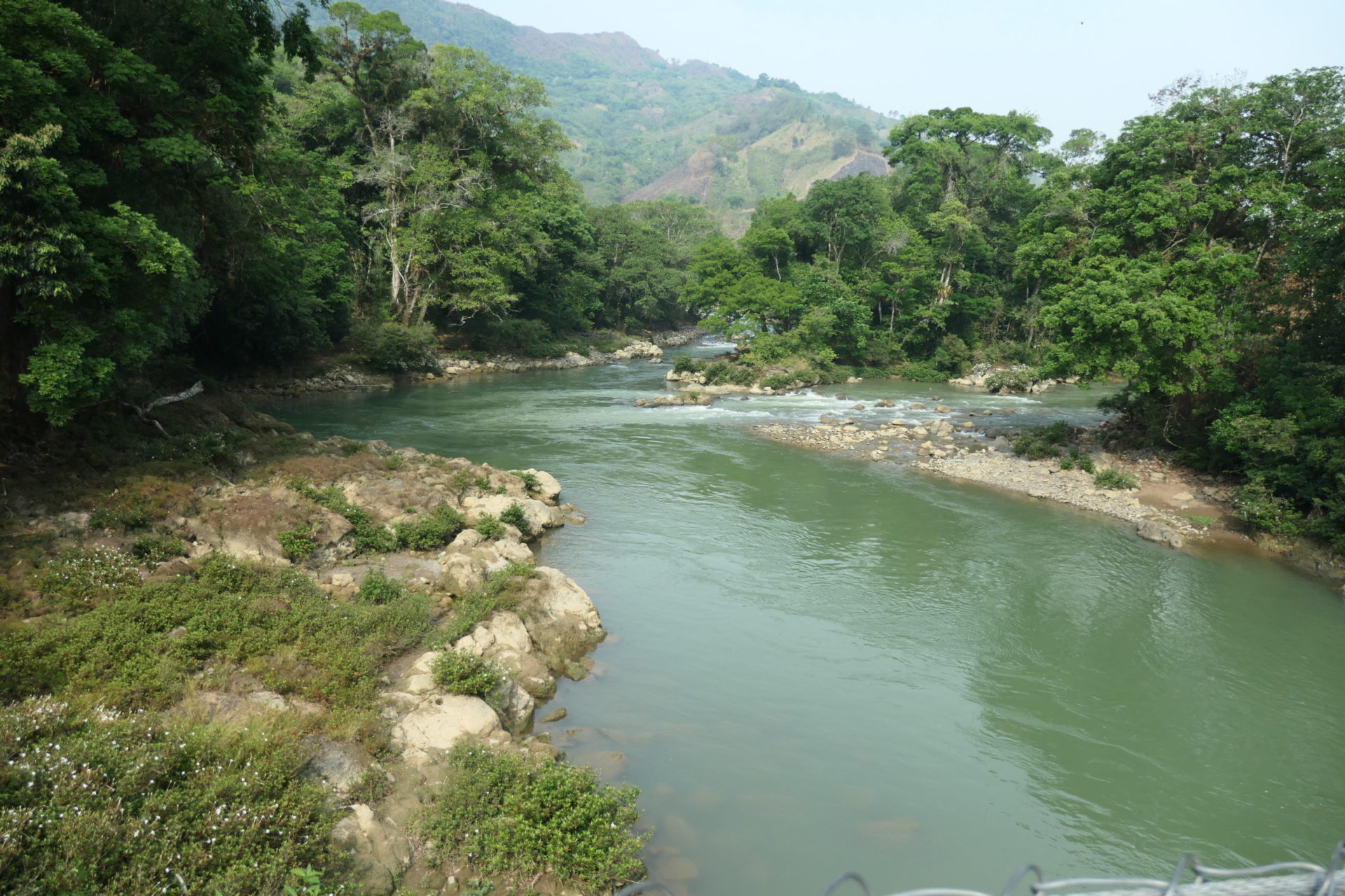 Image gallery image