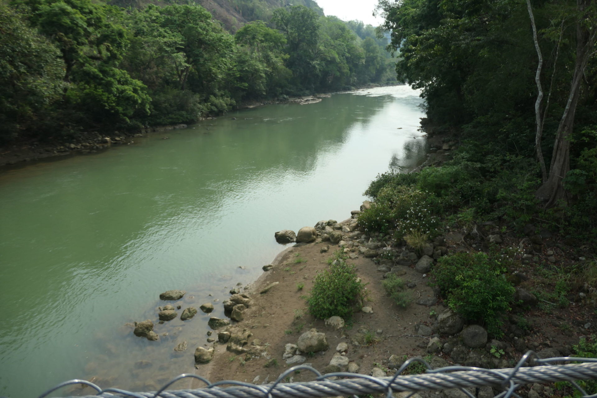 Image gallery image