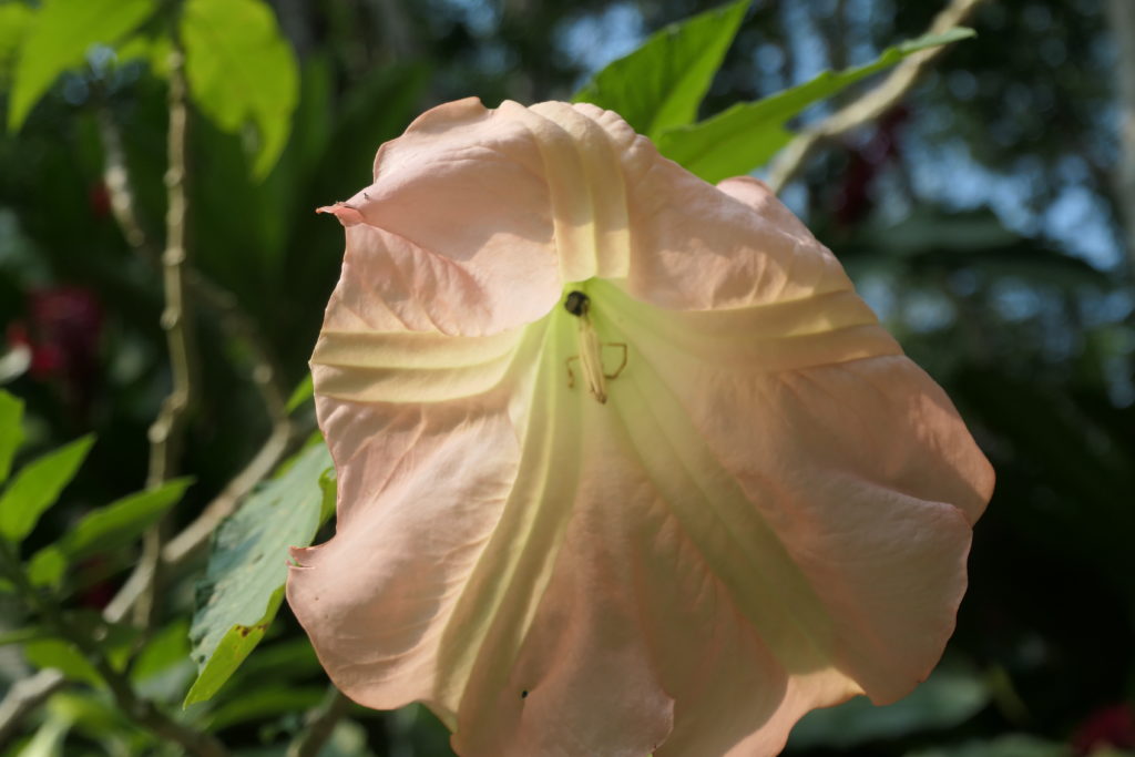 Image gallery image