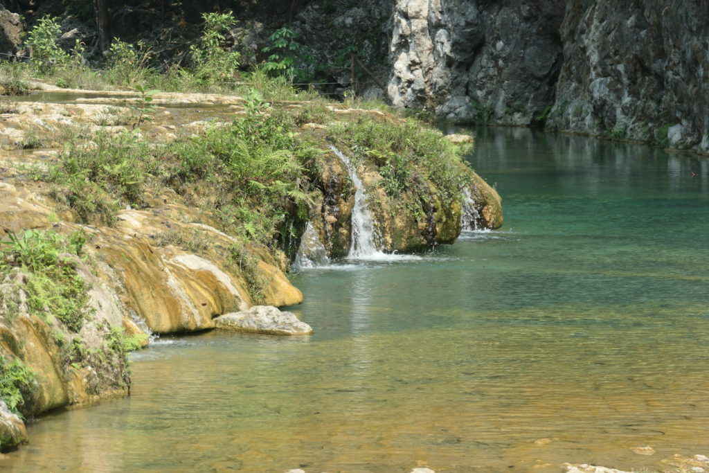 Image gallery image