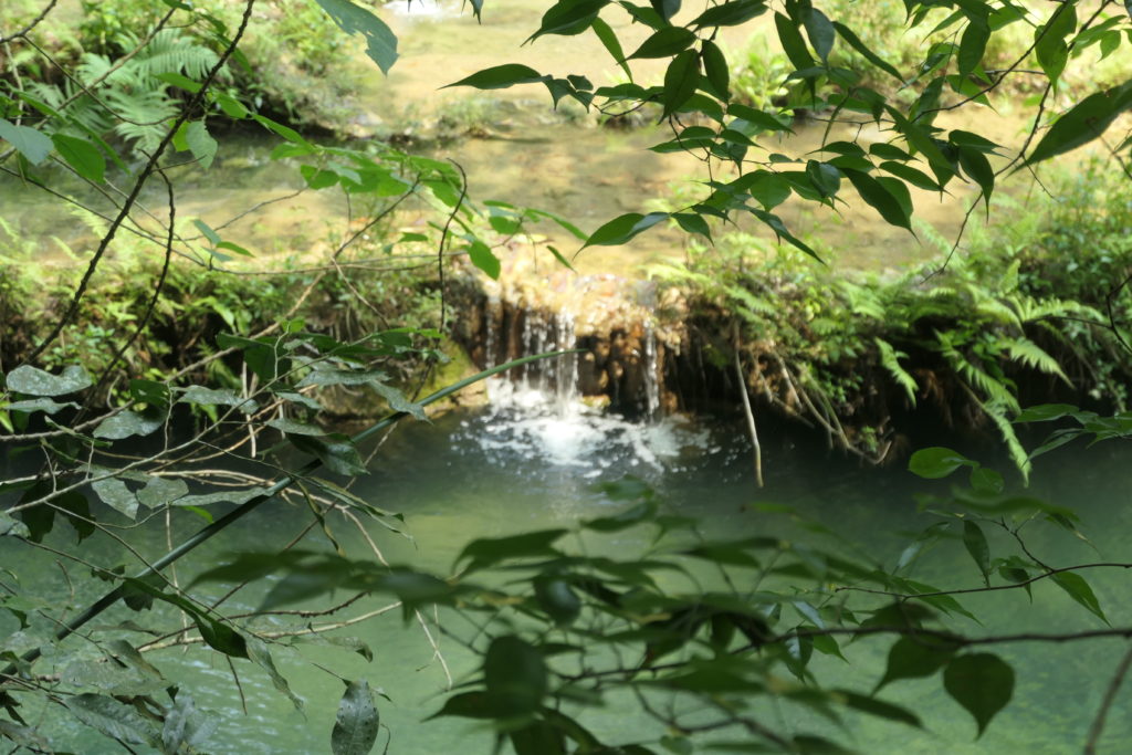Image gallery image