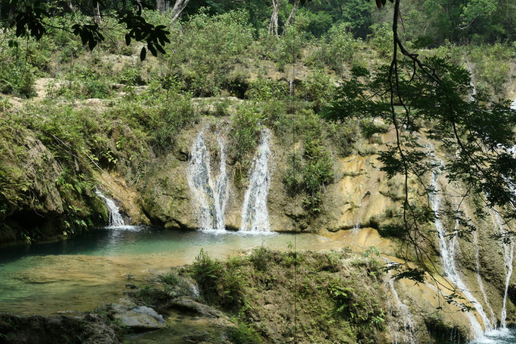 Image gallery image