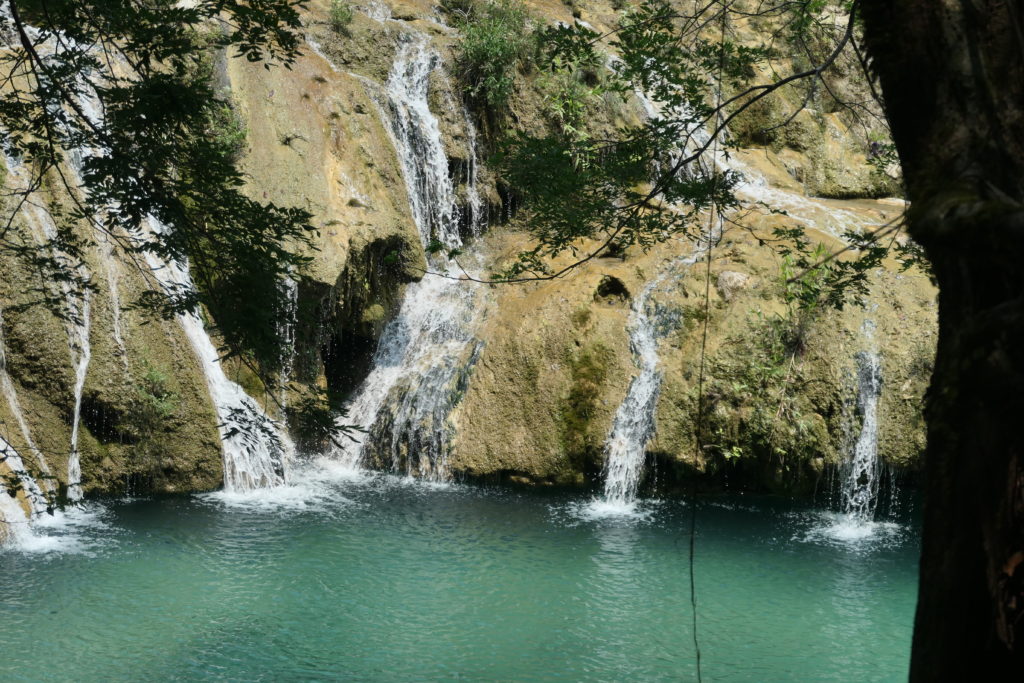 Image gallery image