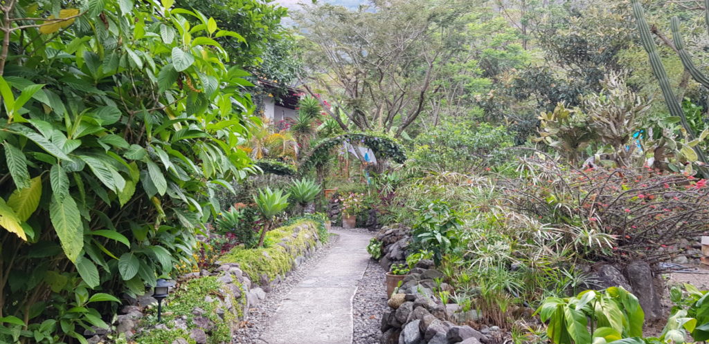 Image gallery image