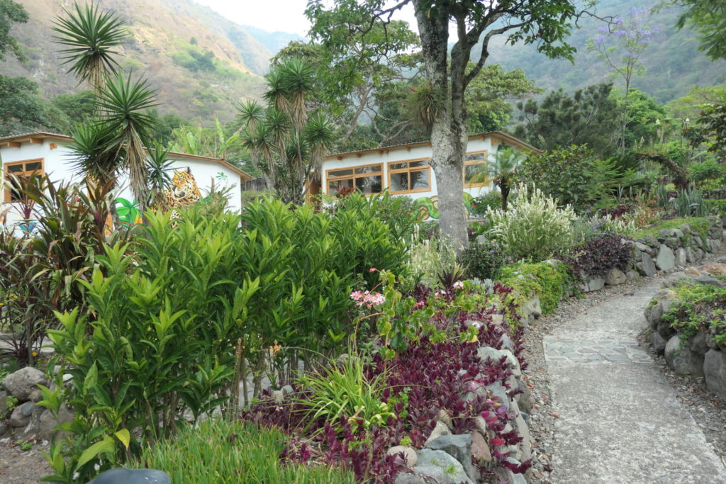 Image gallery image