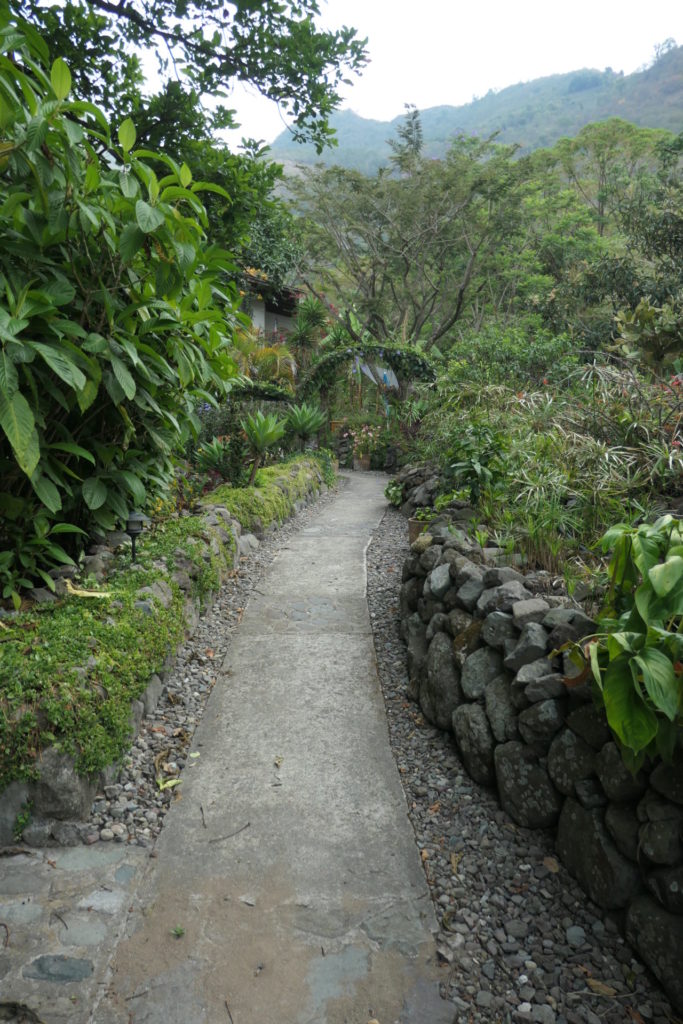 Image gallery image