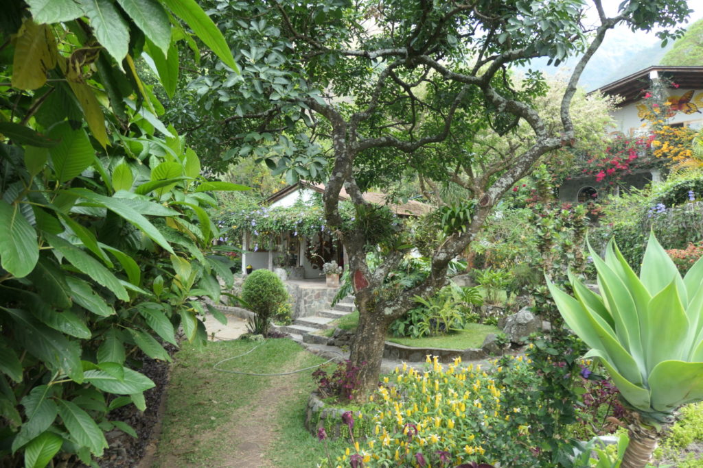 Image gallery image