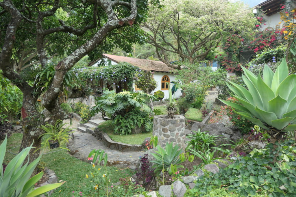 Image gallery image