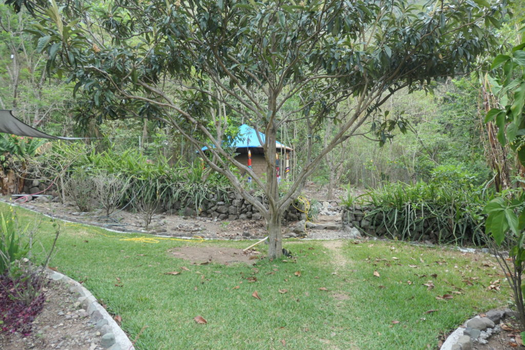Image gallery image