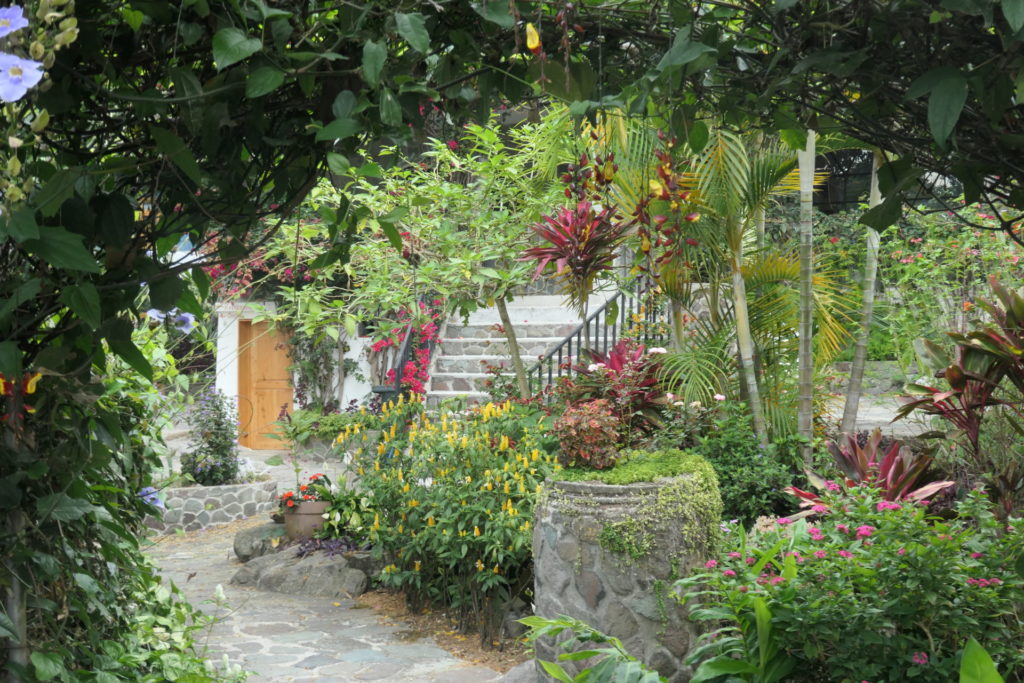 Image gallery image