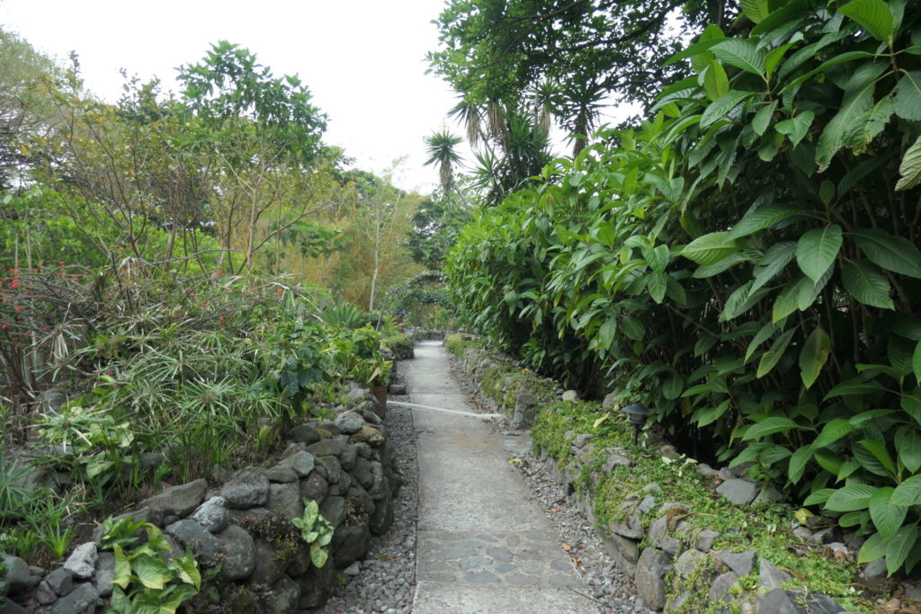 Image gallery image