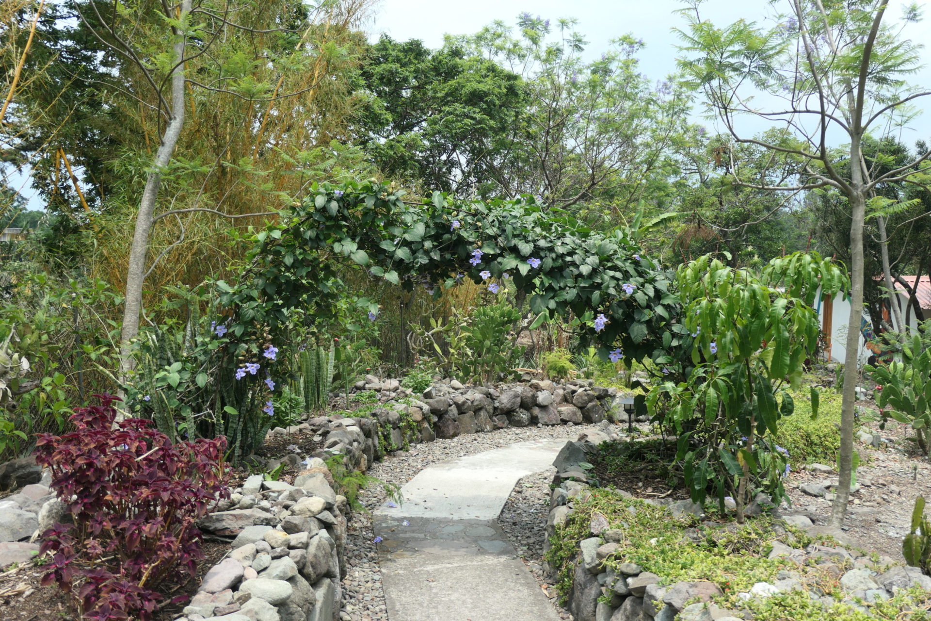 Image gallery image