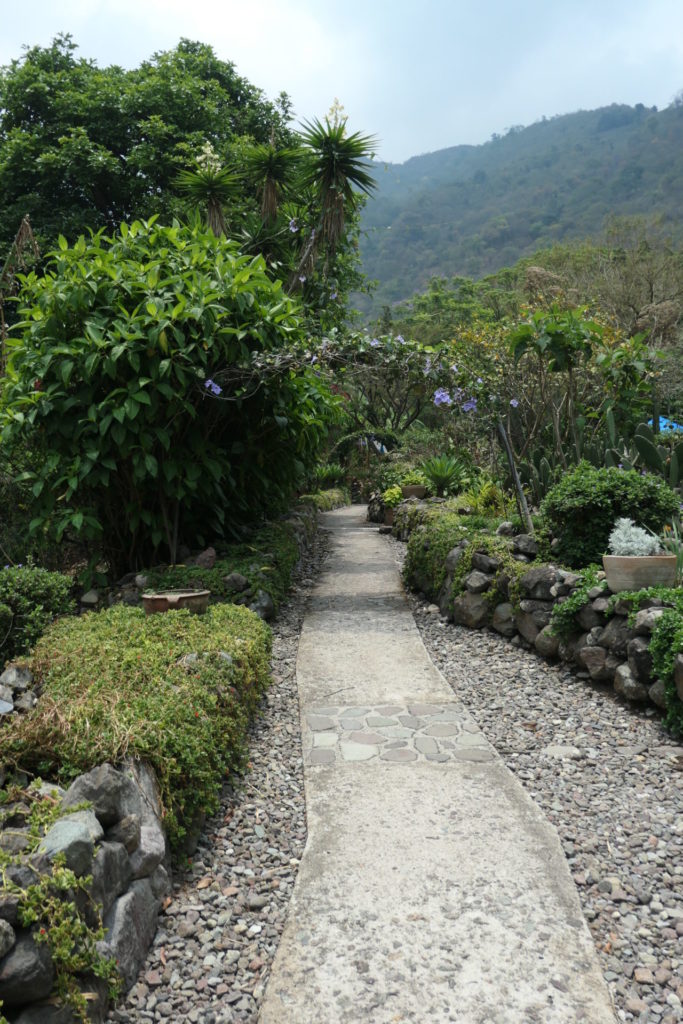 Image gallery image