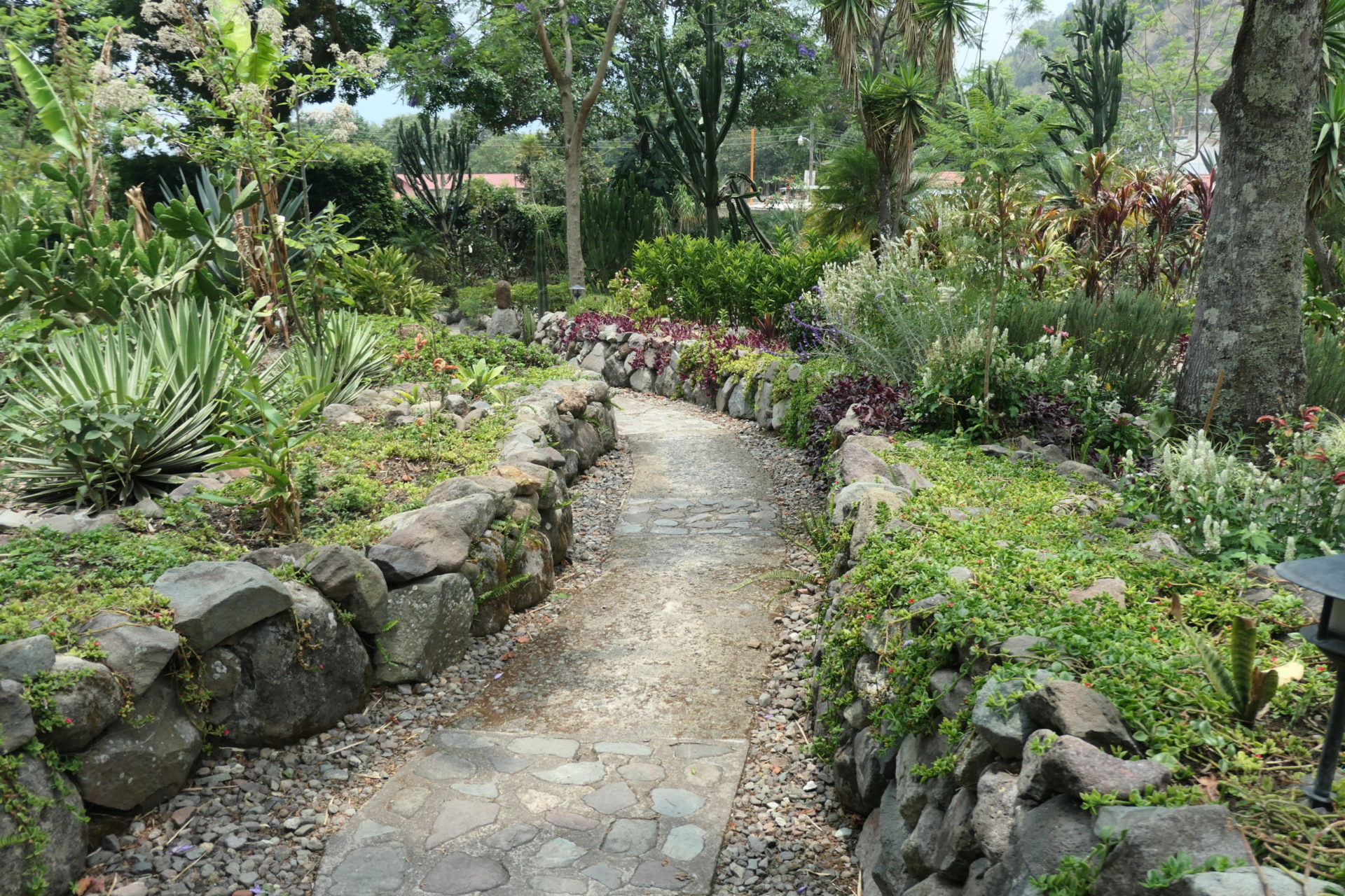 Image gallery image