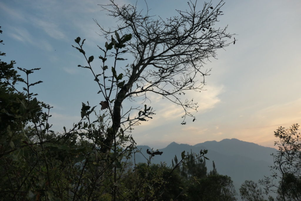 Image gallery image