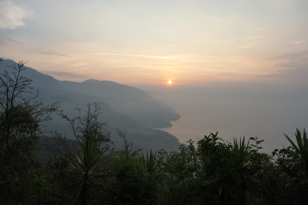 Image gallery image
