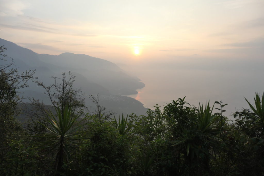 Image gallery image