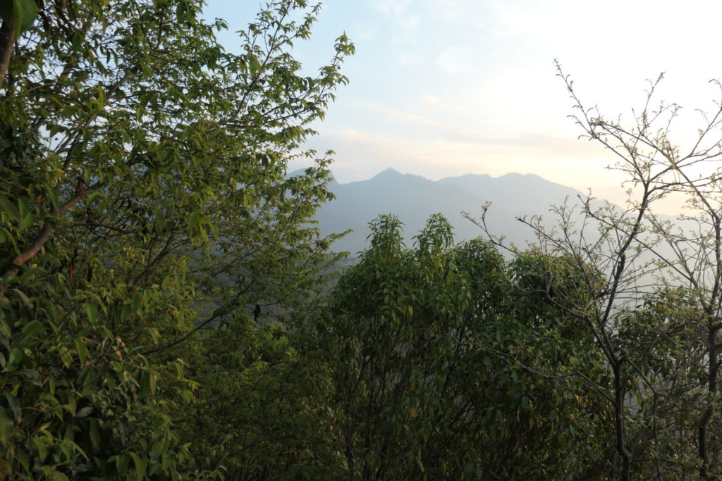 Image gallery image